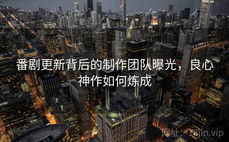 番剧更新背后的制作团队曝光，良心神作如何炼成